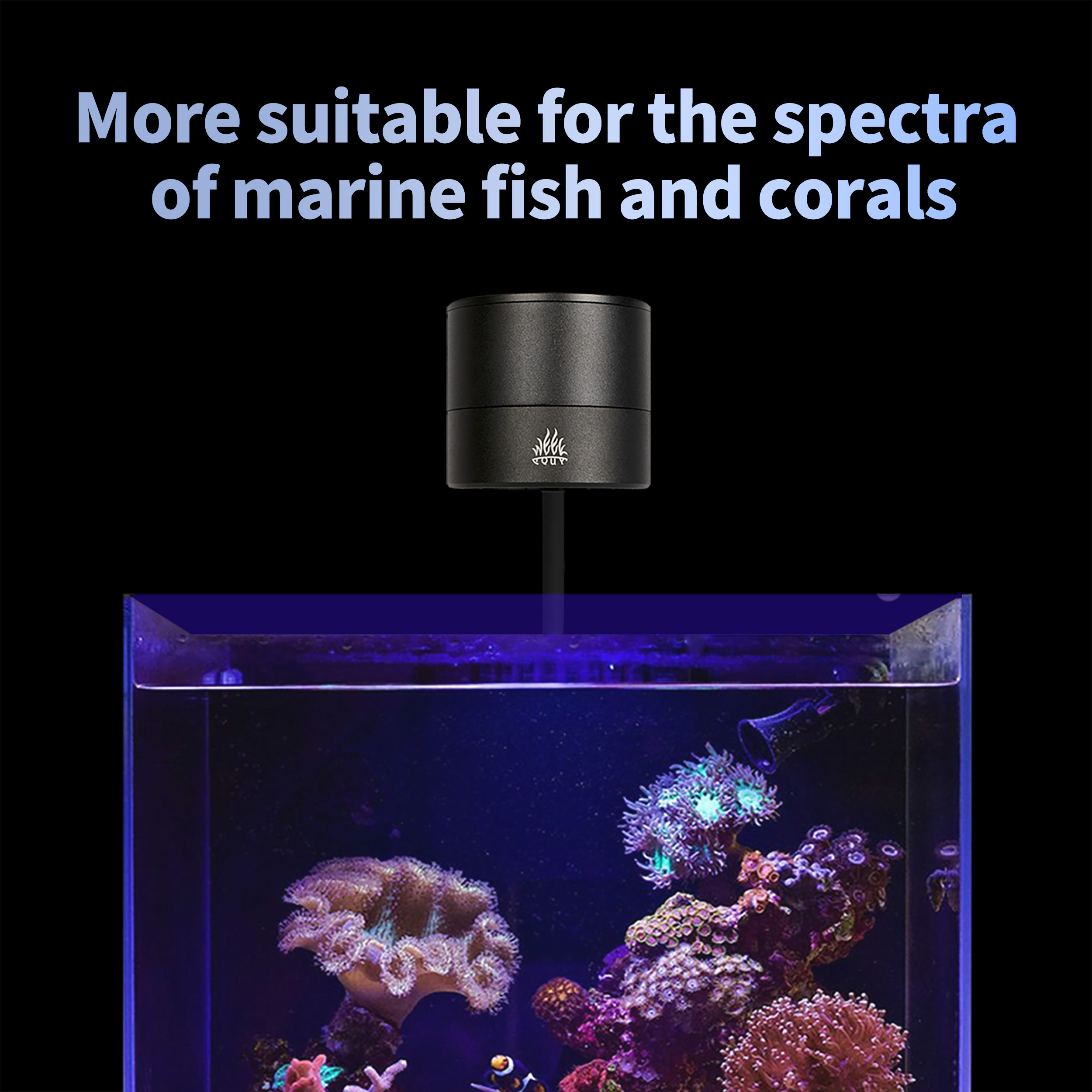 Marine Aquarium Timing - T95 Sea 50W Tam Spektrum Deniz