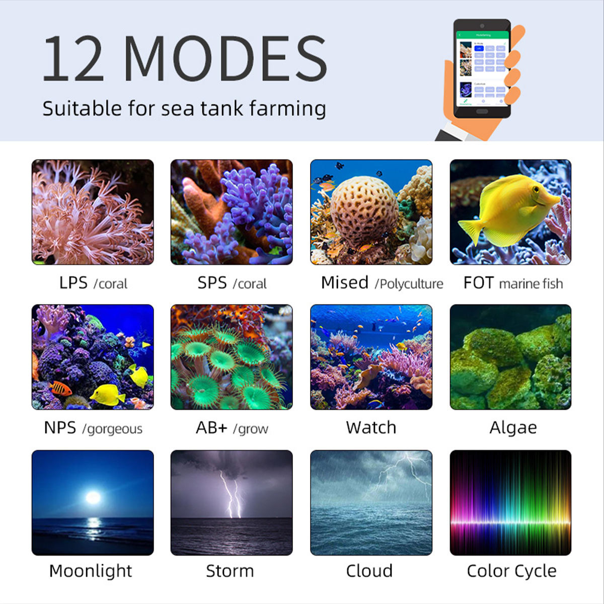 T95 Sea 50W Tam Spektrum Deniz - Marine Aquarium Timing incelemesi ve fiyatı