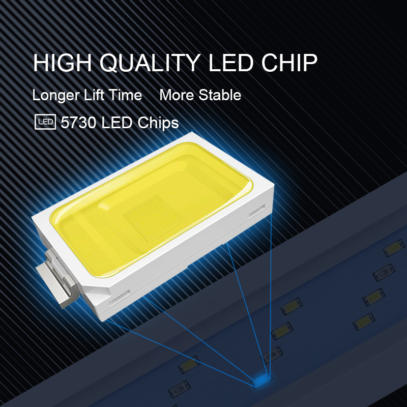 Balık tankı için genişletilebi - Marine Aquarium Lamp incelemesi ve fiyatı