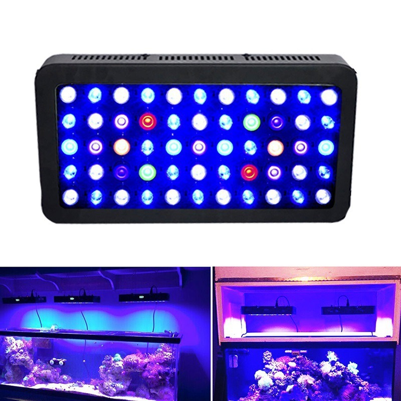 165W Akvaryum Lambası Akıllı W - Marine Aquarium Timing incelemesi ve fiyatı