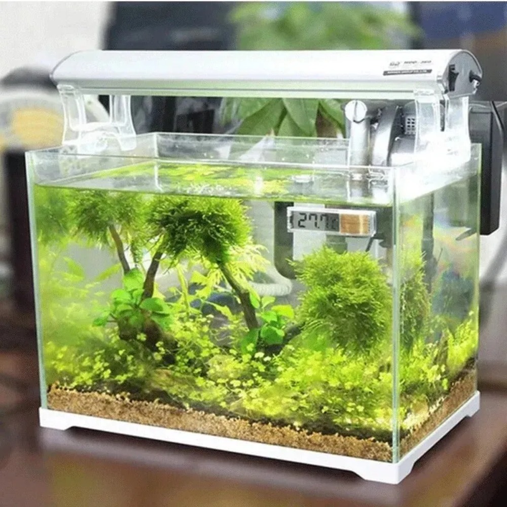 1 adet akvaryum termometresi e - Marine Aquarium Heater incelemesi ve fiyatı