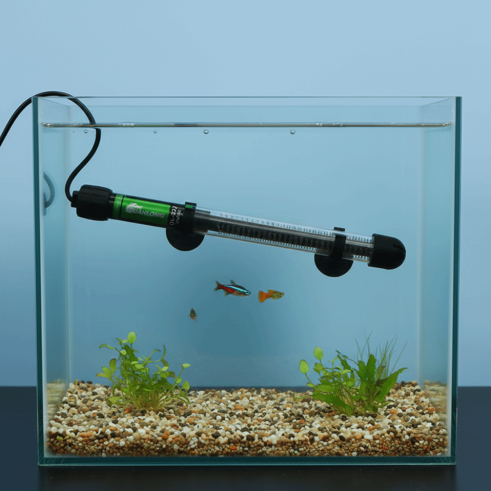 25W-300W Akvaryum Dalgıç Isıtı - Marine Aquarium Heater incelemesi ve fiyatı