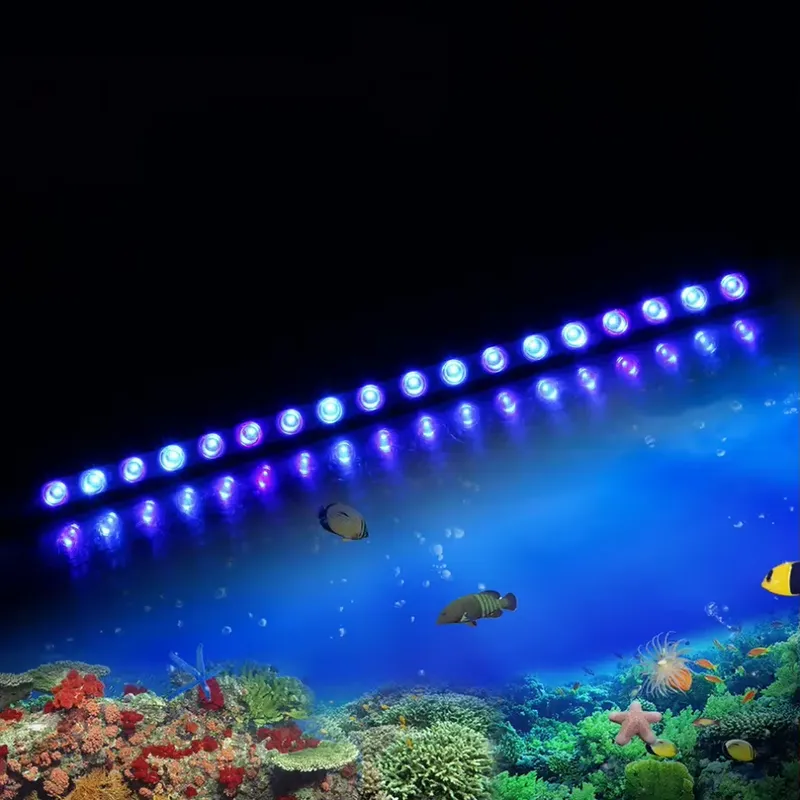 Ayarlanabilir Zamanlayıcılı LE - Marine Aquarium Timing incelemesi ve fiyatı