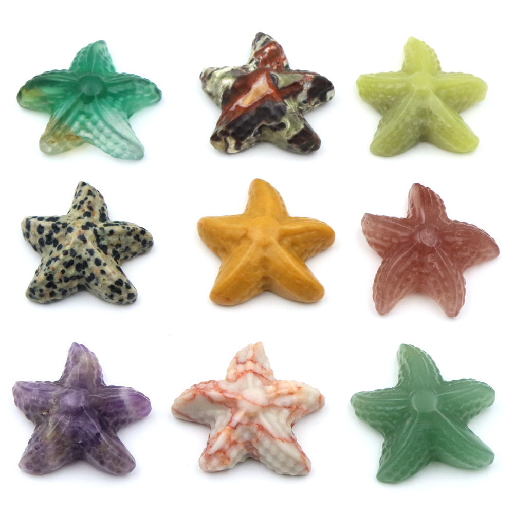 35mm Denizyıldızı Şekli Heykel - Marine Aquarium & Regional Centre incelemesi ve fiyatı