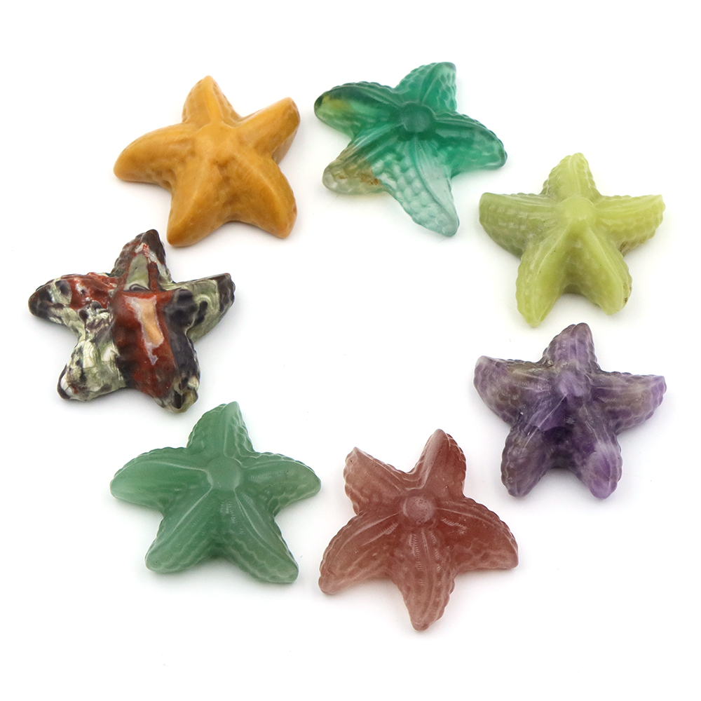 35mm Denizyıldızı Şekli Heykel - Marine Aquarium & Regional Centre incelemesi ve fiyatı