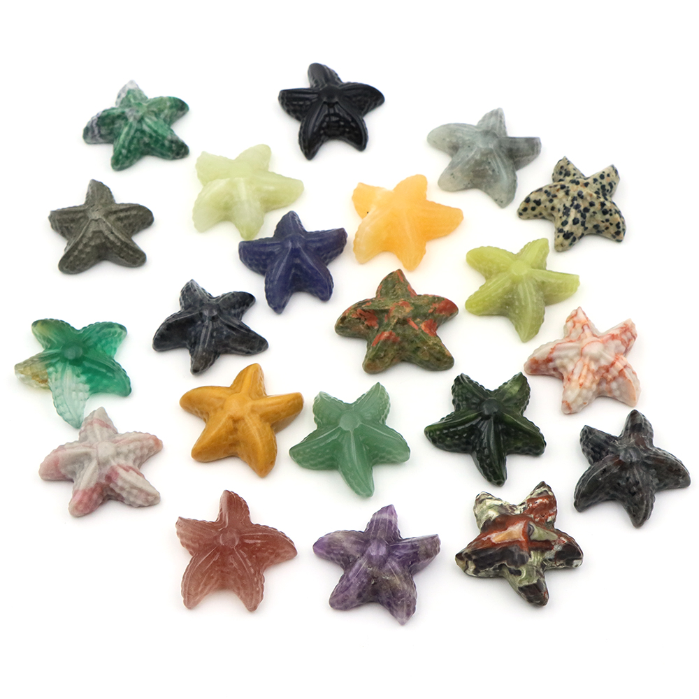 35mm Denizyıldızı Şekli Heykel - Marine Aquarium & Regional Centre incelemesi ve fiyatı