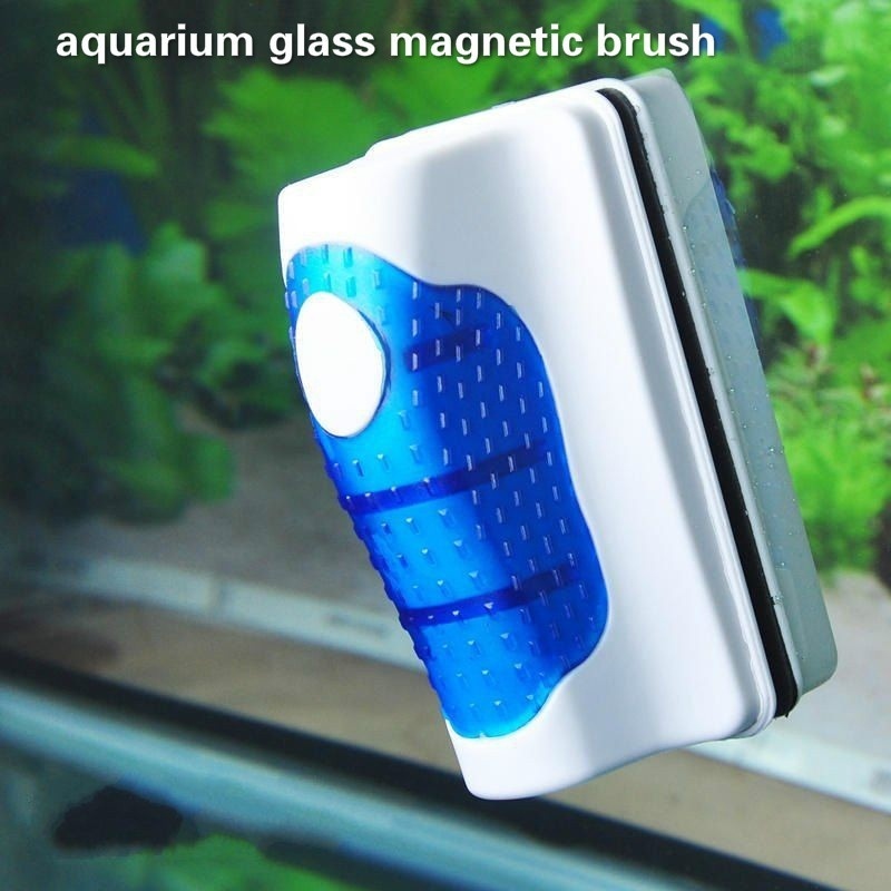 Balık Tankı Cam Kazıyıcı Temiz - Marine Aquarium Glass Scraper incelemesi ve fiyatı